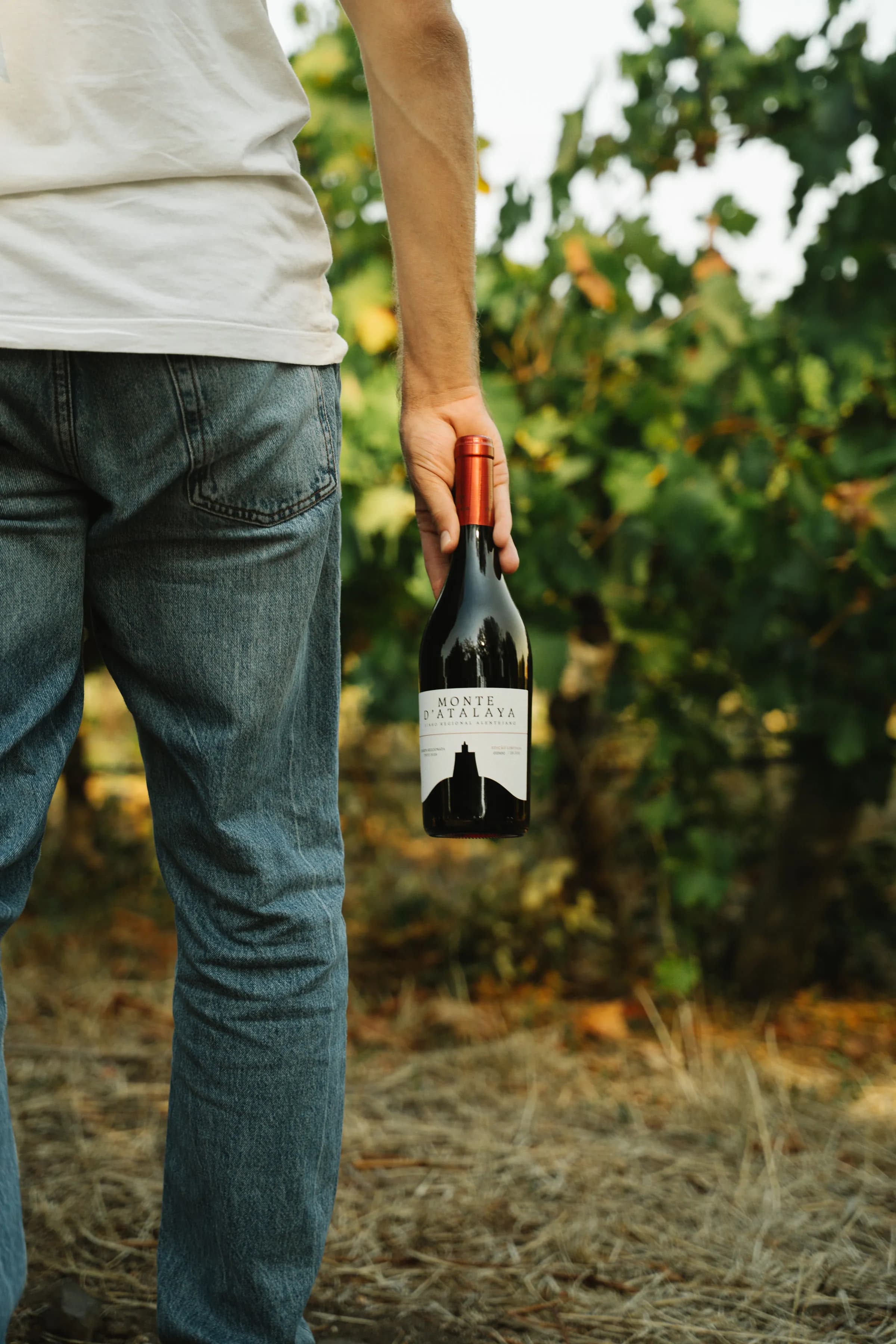 Pessoa segurando vinho na vinha